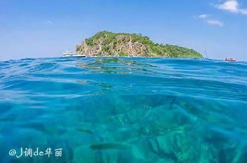 动物记忆大翻牌